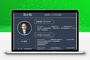 灰色系软件开发IOS开发程序员简历